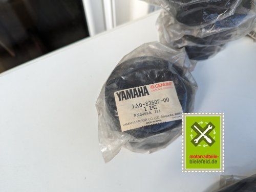 PXL_20240523_150414858